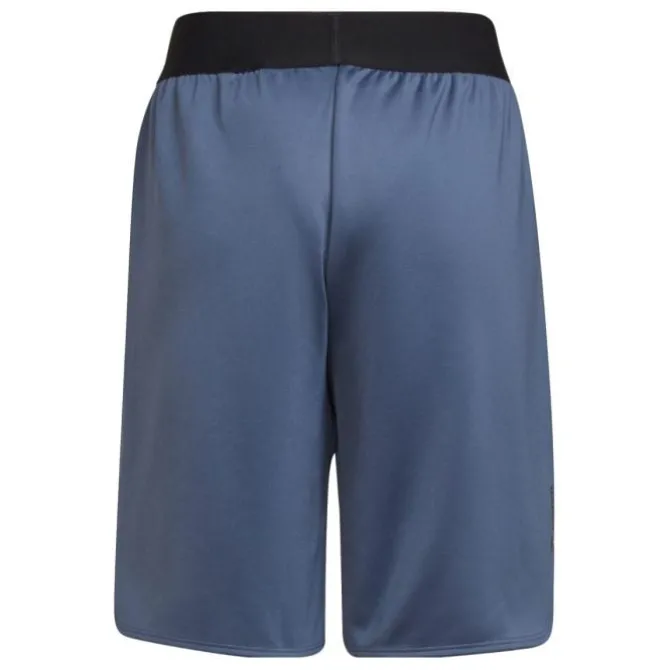 adidas Shortsit Ja Housut^D4S Shorts Sininen